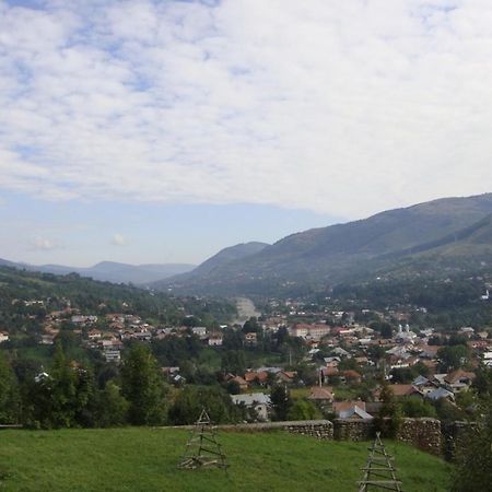Pensiunea Valea Negrasului Trăisteni Εξωτερικό φωτογραφία