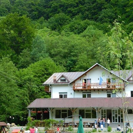 Pensiunea Valea Negrasului Trăisteni Εξωτερικό φωτογραφία