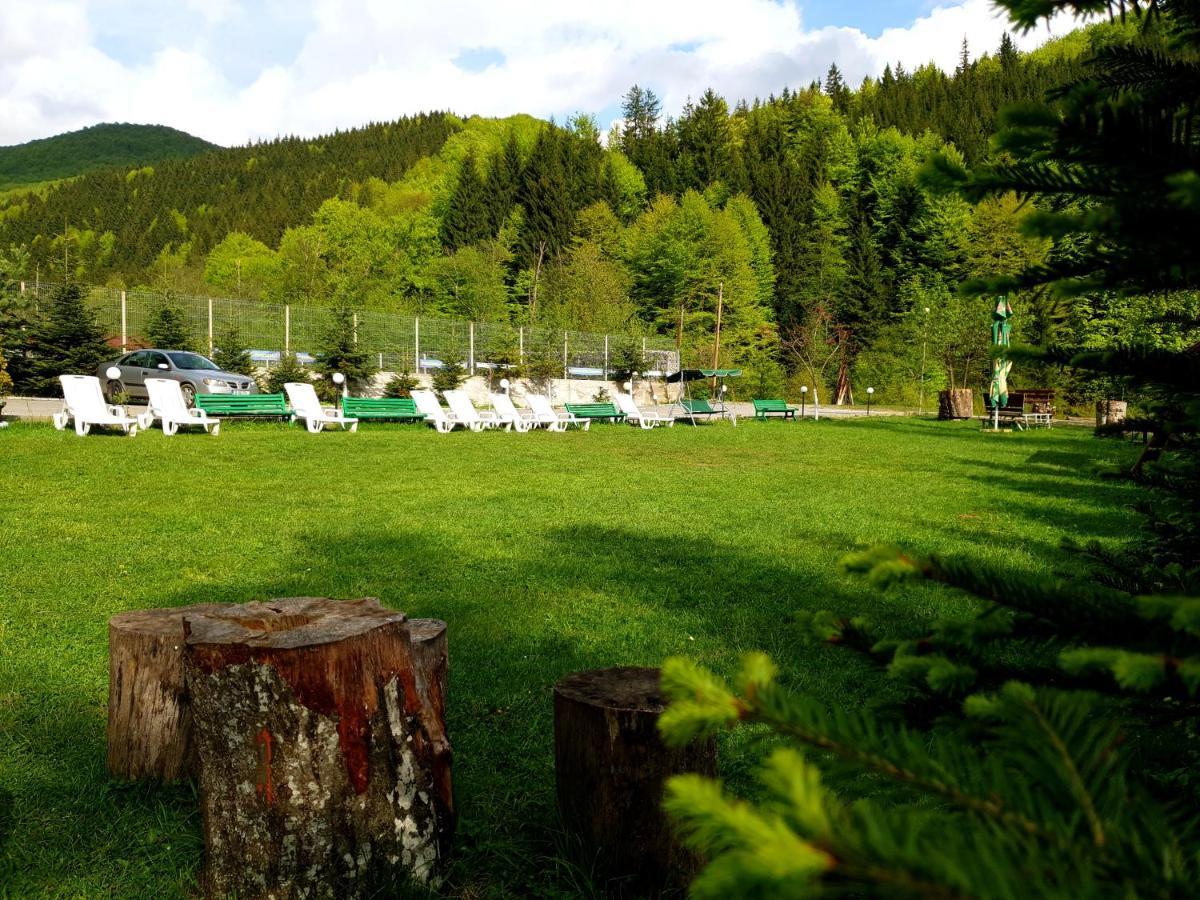 Pensiunea Valea Negrasului Trăisteni Εξωτερικό φωτογραφία