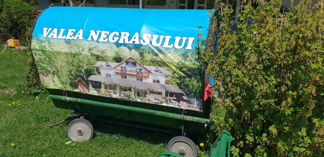 Pensiunea Valea Negrasului Trăisteni Εξωτερικό φωτογραφία