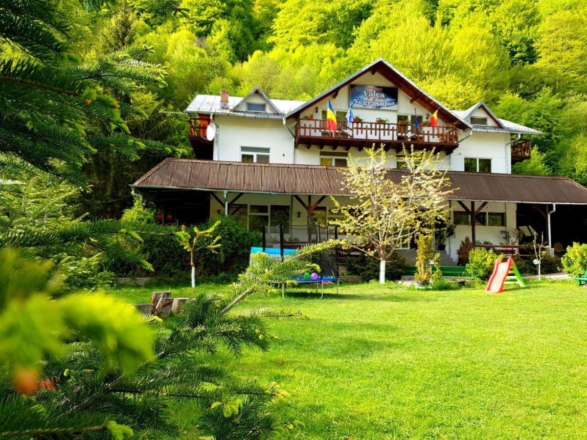 Pensiunea Valea Negrasului Trăisteni Εξωτερικό φωτογραφία