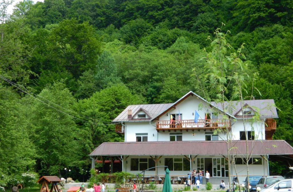 Pensiunea Valea Negrasului Trăisteni Εξωτερικό φωτογραφία